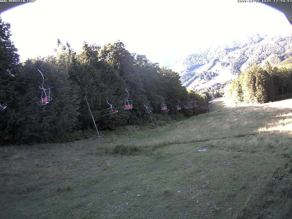 Camera Live Image