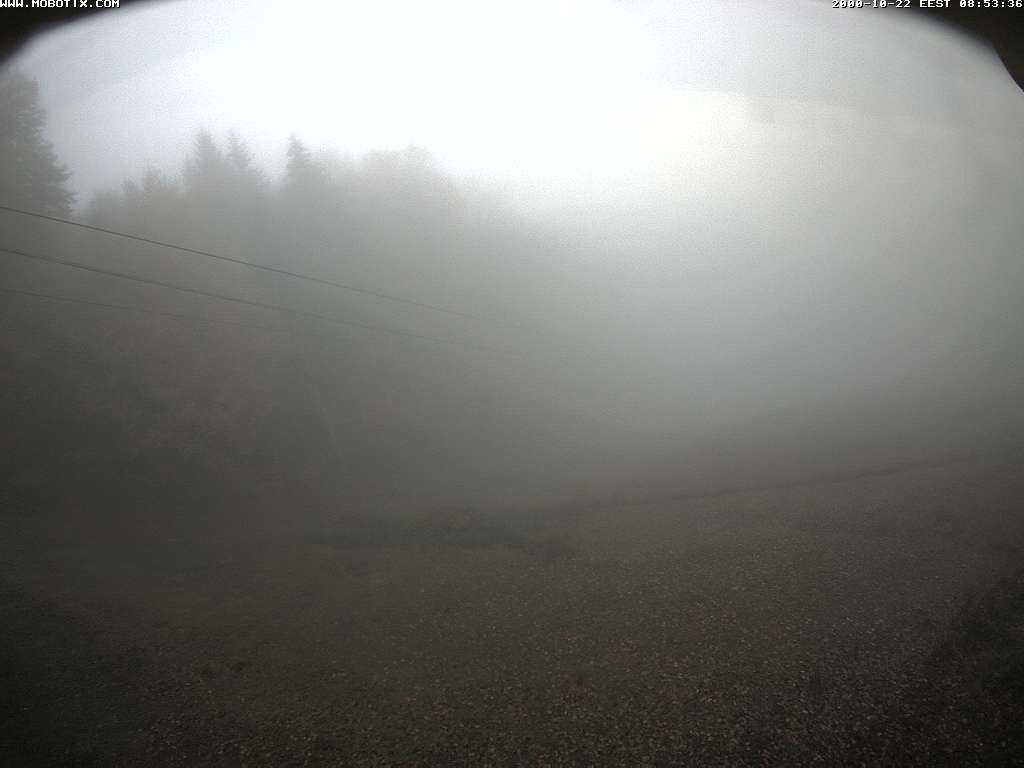 Camera Live Image