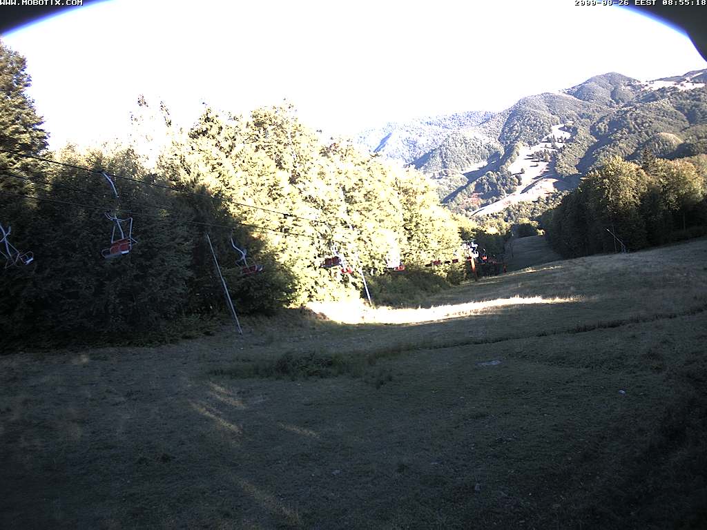 Camera Live Image