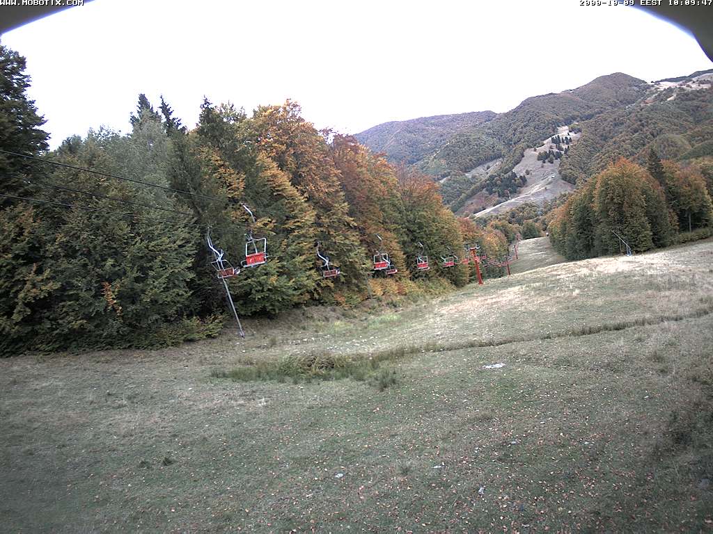 Camera Live Image
